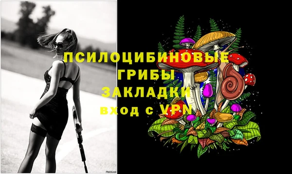 винт Аркадак